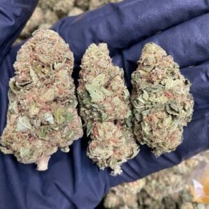 Buy Weed Online in newcastle