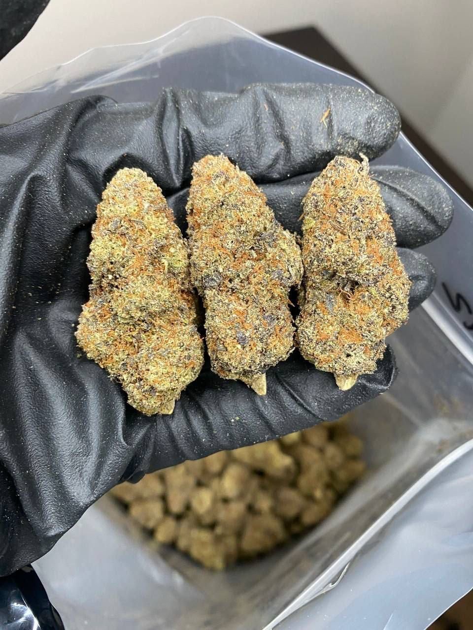 Buy Weed Online in newcastle - Image 5